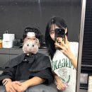 버프 맨즈헤어 | 대야동미용실[버프맨즈헤어]강원장님 아이롱펌 후기