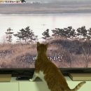 새인농장 이미지