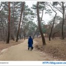정문선 | 동구릉 나들이 - 원릉 : 영조와 정순왕후릉