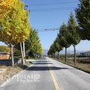 단산보건지소 이미지