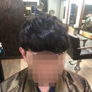 로이드밤구서점