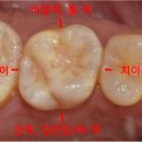 보배로운치과의원 이미지