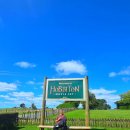 카페 더샤이어 | [뉴질랜드 여행] 호비튼 Hobbiton | 현실판 샤이어 <호빗> 영화 세트 투어 - 내돈내산 후기