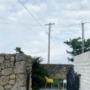 금등첨화 이미지