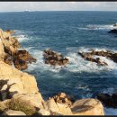 카페링크 이미지