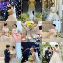 w. 04| 대구 본식 아이폰 스냅 리스트 / 계약후기 (원비즈스냅)