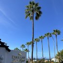 아데헤 ** Dream Jardin Tropical Resort &amp; spa (자댕 트로피컬 호텔) / 11월 온수 수영 가능한 숙소 추천