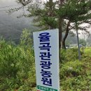자작나무관광농원 이미지