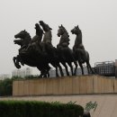 가육