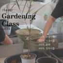 화곡 원예 클래스 2주차 후기｜플랜팁에서 만든 다육식물 화분 디자인