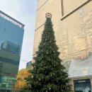 조은무역 | 현대백화점 무역센터점_해리의 크리스마스 공방 후기