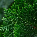 용마경로복지센터 | 근로복지공단 지사찾기, 위치 찾을 때 이 경로가 제일 덜 헷갈림