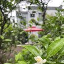 함덕 한달살기 숙소 후기.