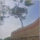 아차노리로 이미지