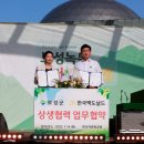 보성녹돈(녹차먹인돼지) 이미지