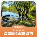 호수공원3 매화공연장(매점) | [블로그 기자] 봄이 오는 선암호수공원 산책