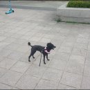 오봉어린이공원 이미지