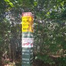 초록산등산로 이미지