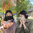 현이조경 이미지