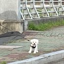 산호동282 이미지