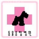 삼산종합동물병원 이미지