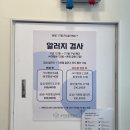 광주 본 동물병원 | 강아지 알러지 검사 펫보험 청구 가능 후기(광주 본 동물병원 알러지 검사 후기)