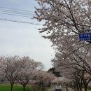 광천 하상주차장 이미지