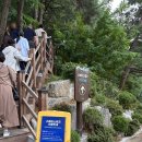 (주)워크사이트 | 가볼 만한 곳 이색 체험 추천, 환호공원 스페이스워크, 주소, 입장료, 주차, 실시간 운영 여부 총 정리