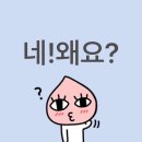 이거시PC방 | 틱톡 스타 선발 대회