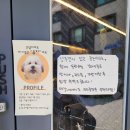 [카페] 동탄 신리천 애견동반 카페 온무드커피 내돈내산 방문 후기