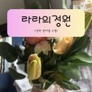 생화꽃다발로 일상에 설렘을 더하다, 라라의정원 꽃정기구독 솔직 후기