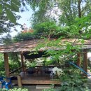 호두나무집식당 이미지