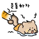 머신버드 이미지