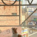 카페 무 이미지