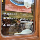 대청로 | [서귀포 신시가지 맛집] 서귀포 일식 돈가스 맛집 추천 내돈내산 방문 후기 &#39;동백카츠&#39; 추천