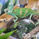남이초교 병설유치원 이미지