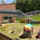 배재대학교부속유치원 이미지