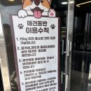 강릉 세인트존스호텔맛집, 초당우가 아기랑 방문 후기(주차정보)