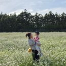 온디브 헤어