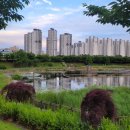 광주 수완지구 소고기 한우맛집 광주1번정육식당 수완지구점 🐂