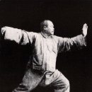 태극권 이미지