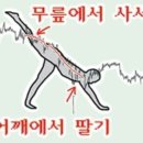 대한광통신(주)