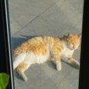 별미로스터스 네이버블로그