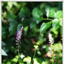 한재골(광장) 이미지