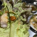 먹자식당 이미지