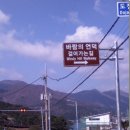 거제도 여행(해금강, 학동몽돌해수욕장, 바람의 언덕..), 여수 오동도 여행