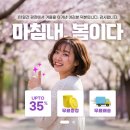 루나컵(생리컵) 세일 (~35%)(13일까지!!) 이미지