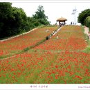 들꽃향기머무는곳 이미지