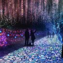 남망산 디지털파크 이미지