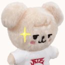 Stray Kids World Tour〈dominATE SEOUL〉 후기